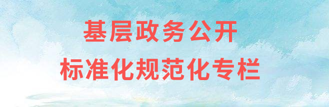 基层政务公开标准化规范化专栏